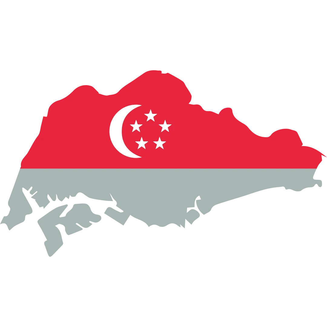 Singapore import export trade map